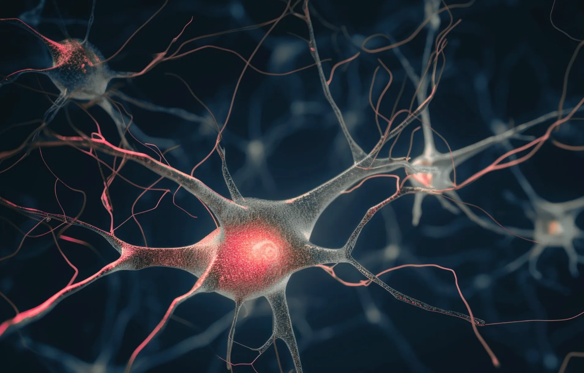 Neuroscience imaging and research